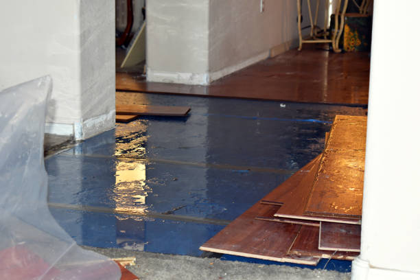 Professional Burst Pipe Cleanup technician working in Englewood Cliffs, NJ
